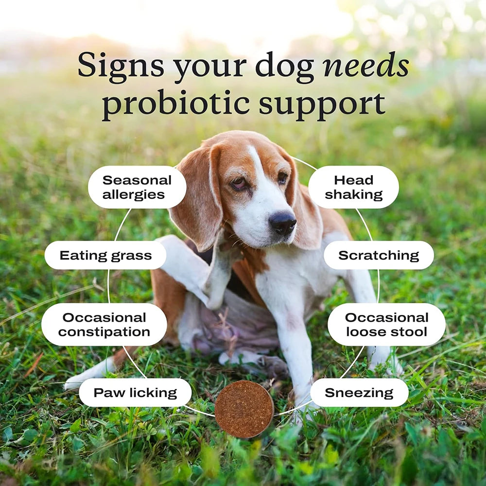 Probiotics Chew for Dogs 12 Weeks+ ™