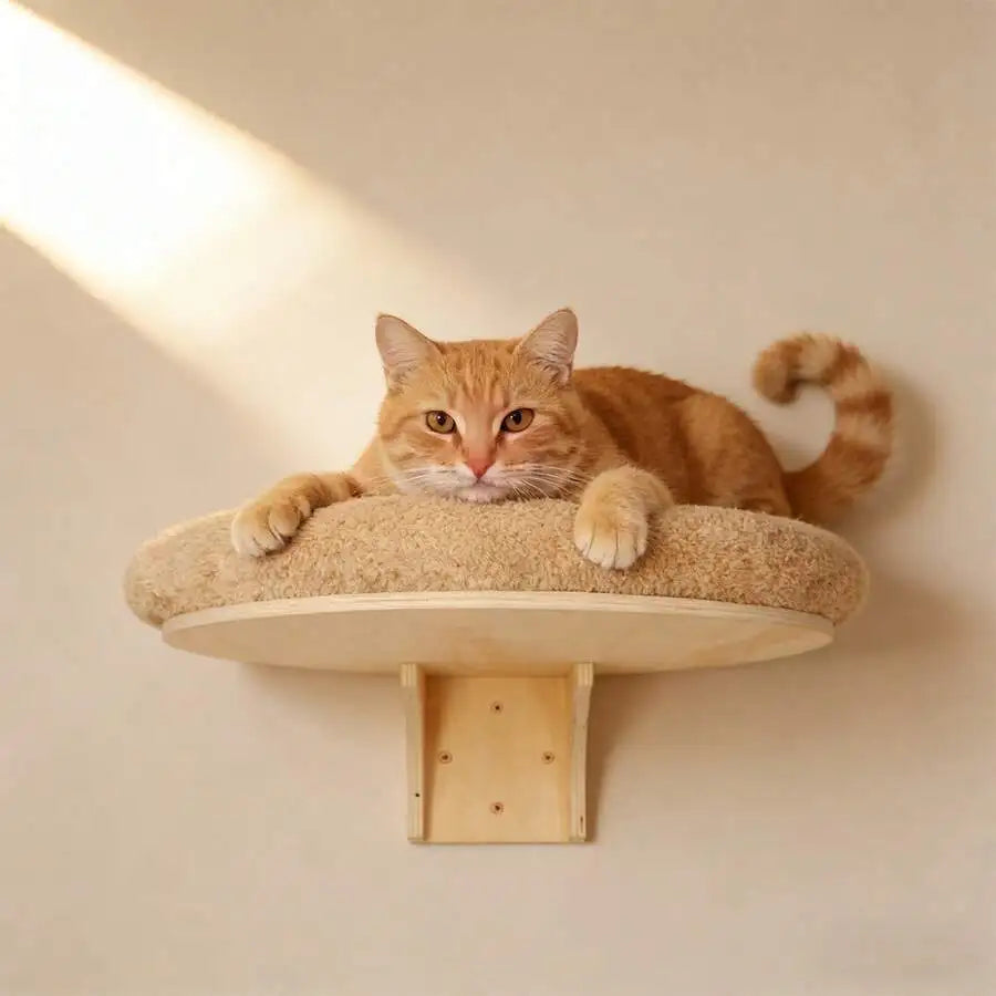 Soft Cat Wall Perch