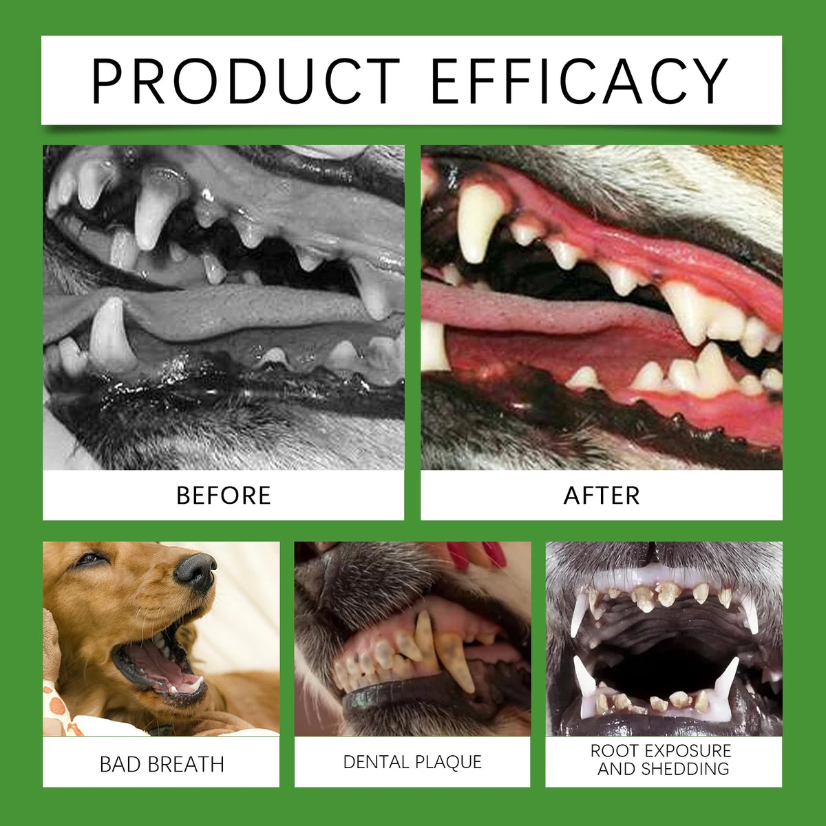 Tooth-cleaning powder for dogs ™