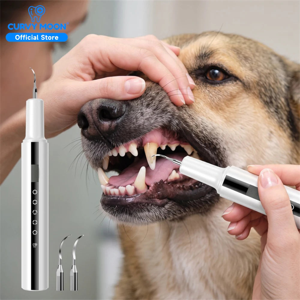 Ultrasonic electric dental scaler for teeth cleaning ™