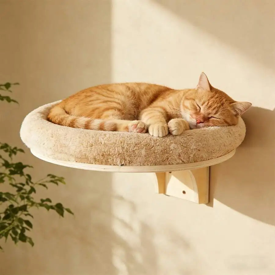 Soft Cat Wall Perch