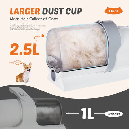 Garment steamer ™